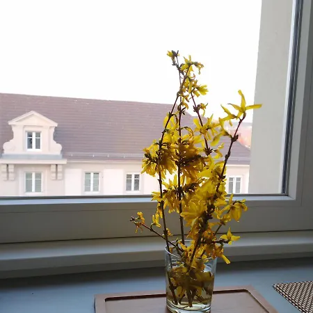 Crossborder Apartment Saint-Louis (Haut-Rhin)